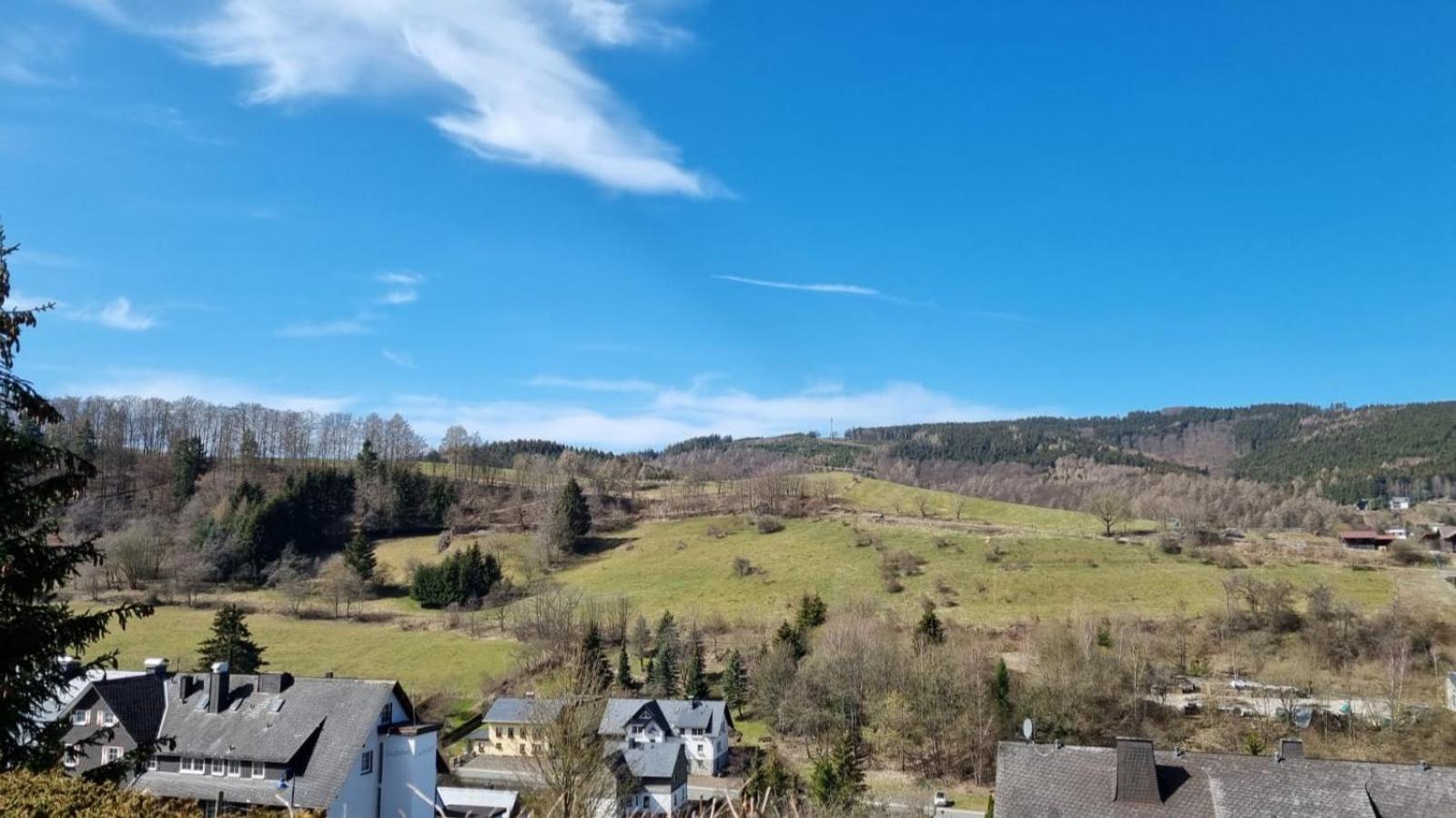 Ferienwohnung Aartalblick Willingen Вилинген Екстериор снимка